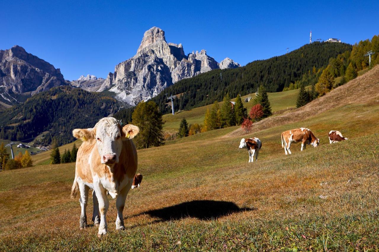 Pension Angelo Corvara Exteriér fotografie